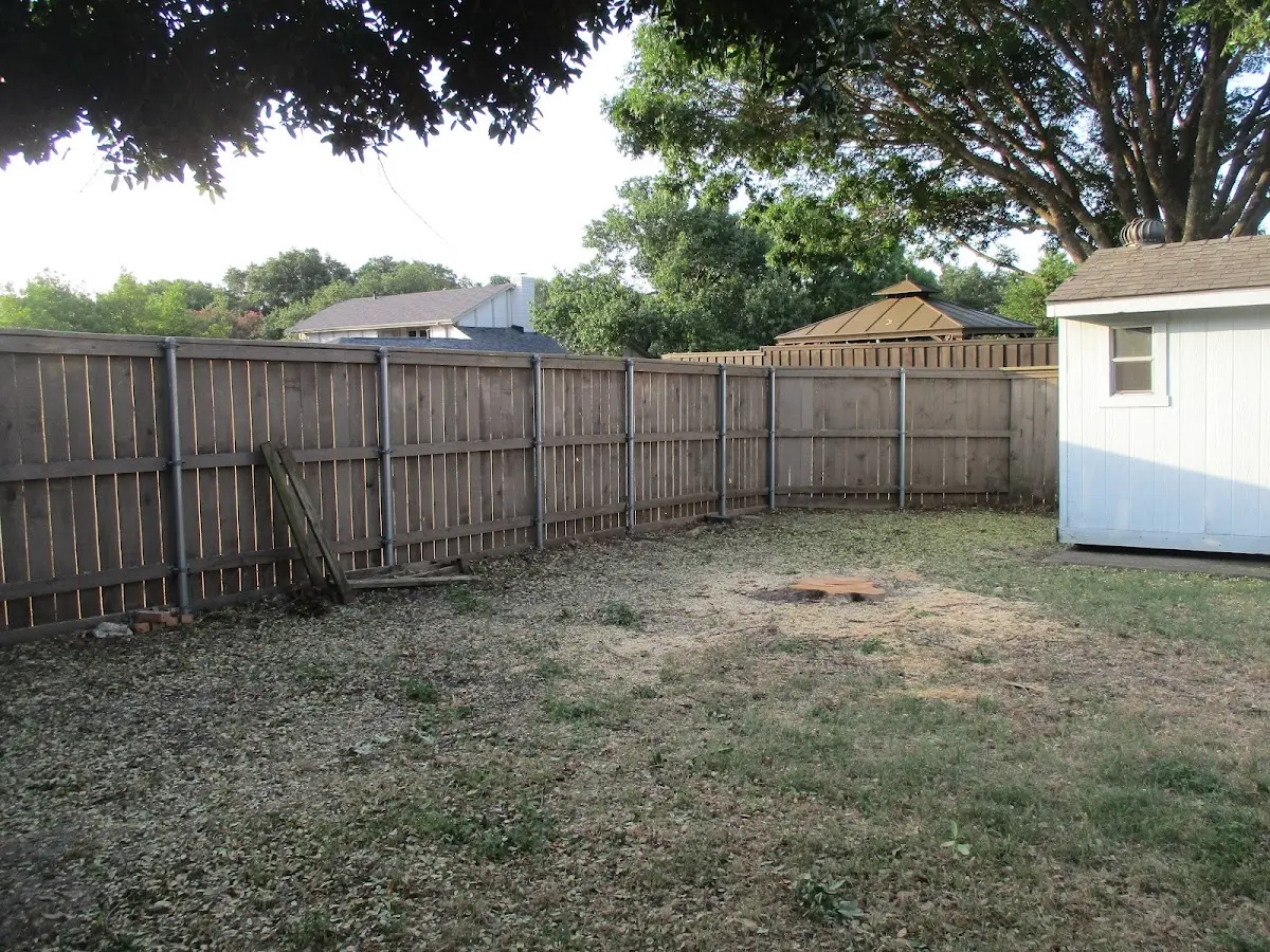 Cleared yard after professional tree removal in Ivesdale